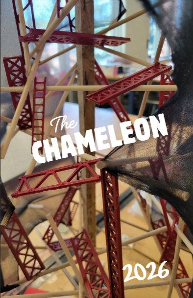 Day of Design Chameleon Cover Designs